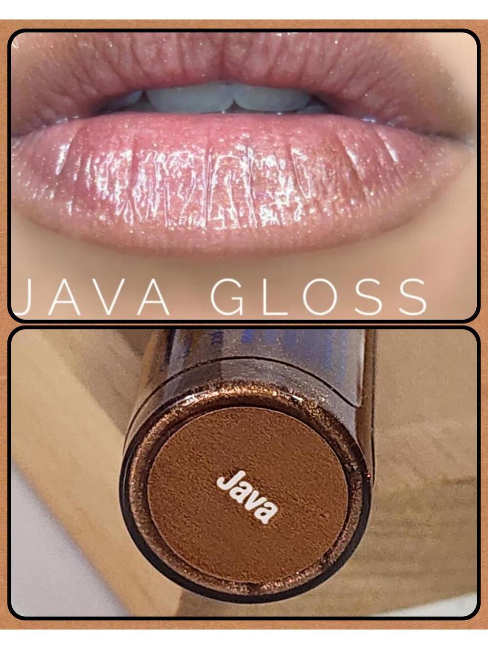 LipSence Long-Lasting Lip Gloss in Java